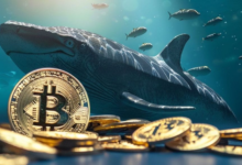 ارتفاع نشاط حوت البيتكوين، والثقة في عودة السوق الصاعدة