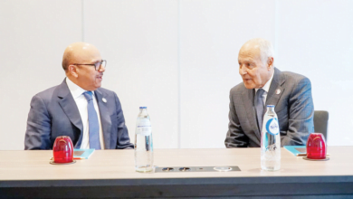 بحث التنسيق بين وزارة الخارجية والجامعة العربية لتنفيذ قرارات ومبادرات القمة العربية