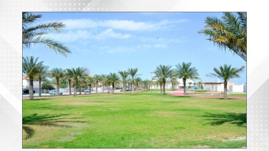 الطقس اليوم في مملكة البحرين